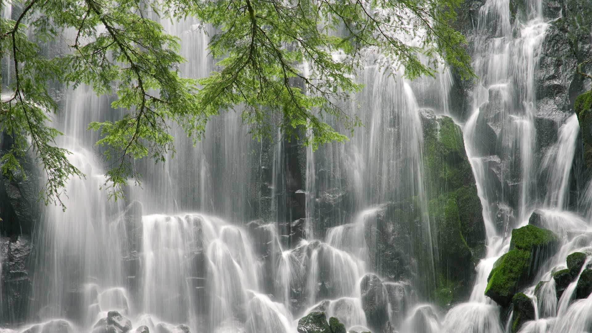 世界游艇青年赛环保科研基金成立,世界青年赛艇锦标赛